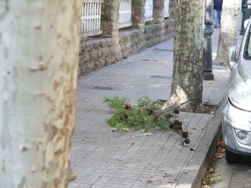 El viento ha obligado a cerrar los parques de Huesca