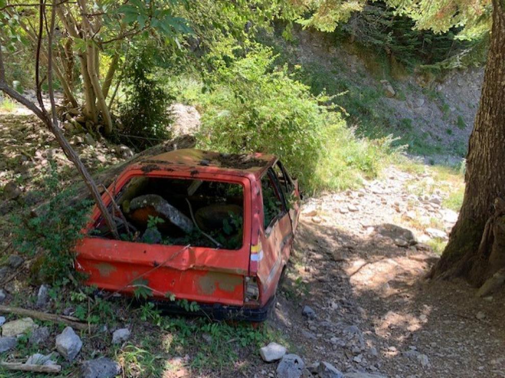El coche siniestrado ya se confunde con el paisaje e incluso ha nacido un árbol en su interior.