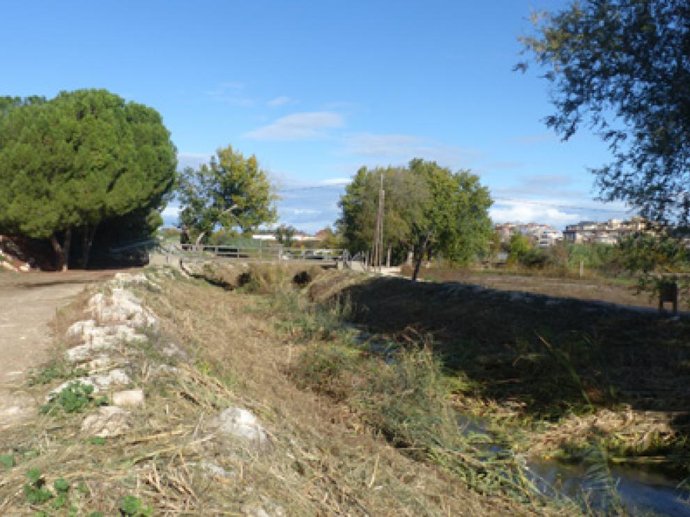 Tramo de la ribera del río Sosa donde se ha intervenido.