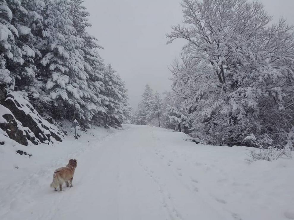 Imagen del entorno del refugio de Lizara tras las nevadas de estos días.