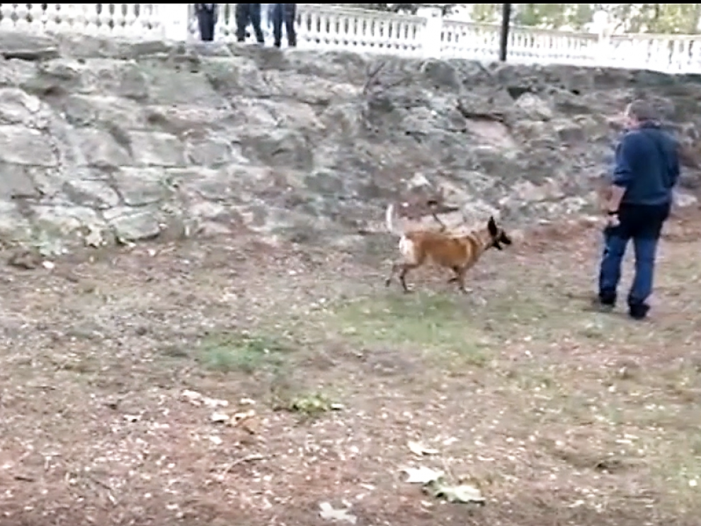 La Guardia Civil empleó un perro para detectar restos de sustancias en el parque de La Pinada
