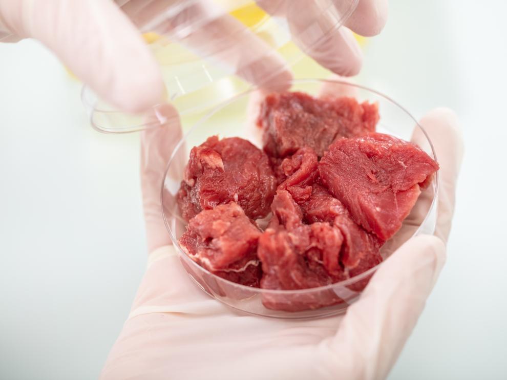 Aves Nobles se suma al proyecto de carne cultivada de Biotech, que prima el bienestar animal y el cuidado del medioambiente.