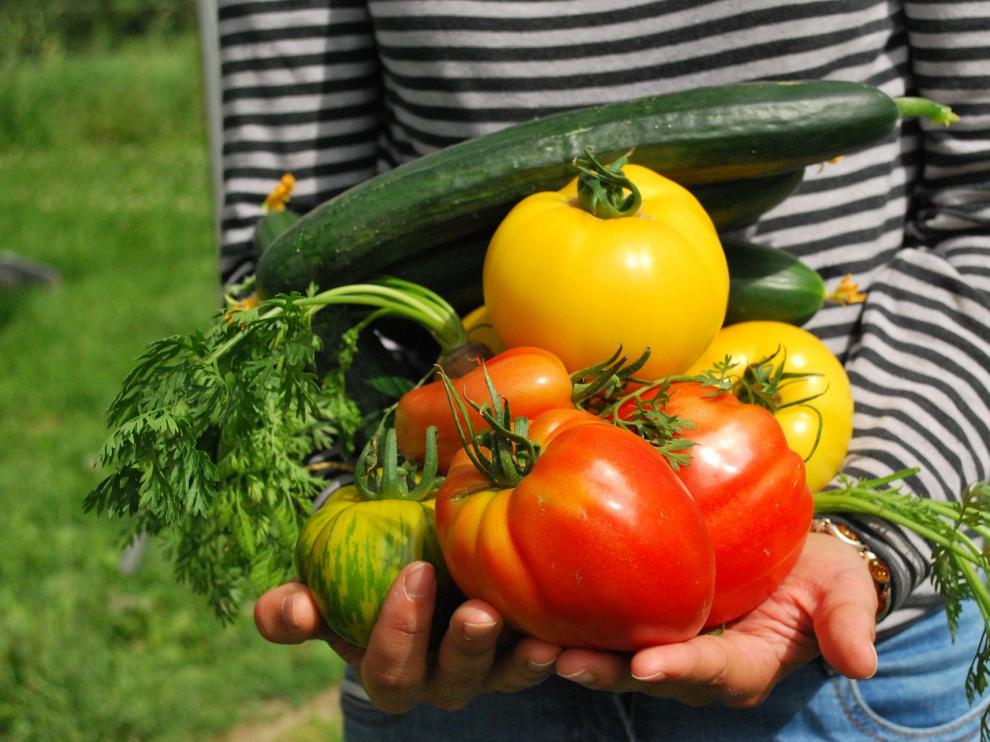 Una dieta equilibrada mejora la salud y ayuda a prevenir enfermedades.
