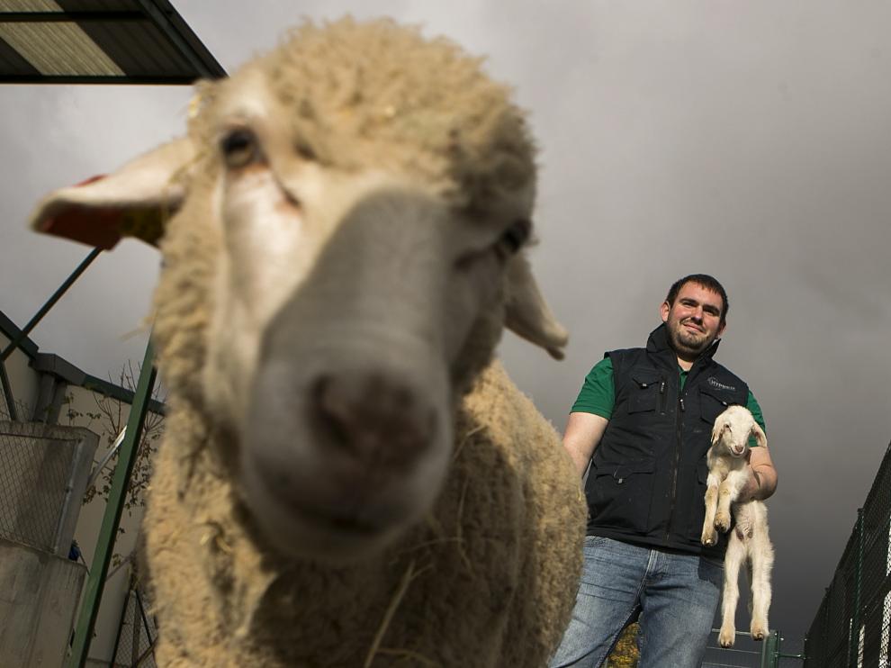 Héctor Ruiz es uno de los alumnos de Veterinaria que ha participado este otoño en la trashumancia.