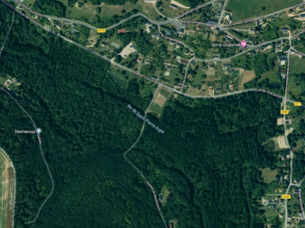 Una joven embarazada muere tras ser atacada por perros de caza en Francia
