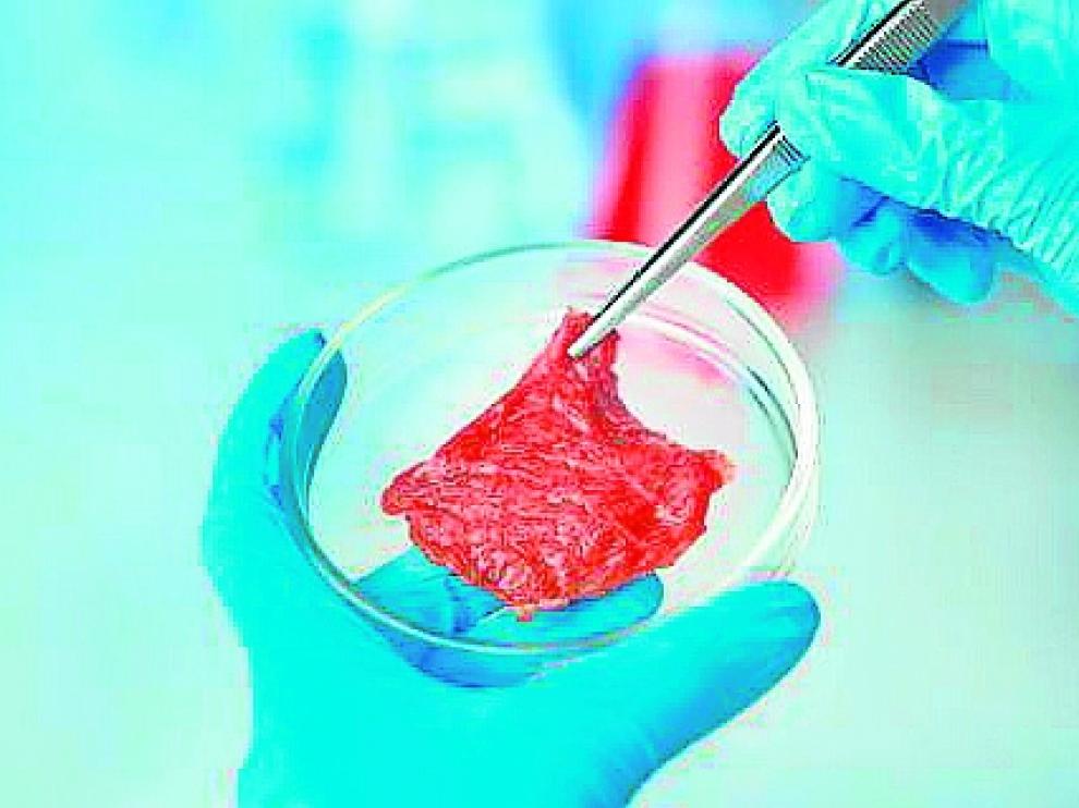 Biotech Foods, en la que participa Aldelís está trabajando en la producción de este tipo de carne.