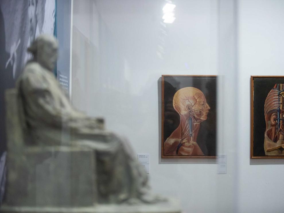 Un aspecto de la exposición 'Santiago Ramón y Cajal. 150 años en la Universidad de Zaragoza'.