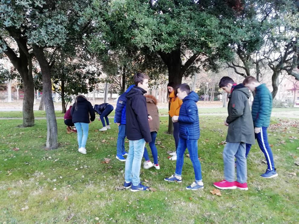 Alumnos y alumnas del IES Ramón y Cajal buscan bellotas en un parque de Huesca.