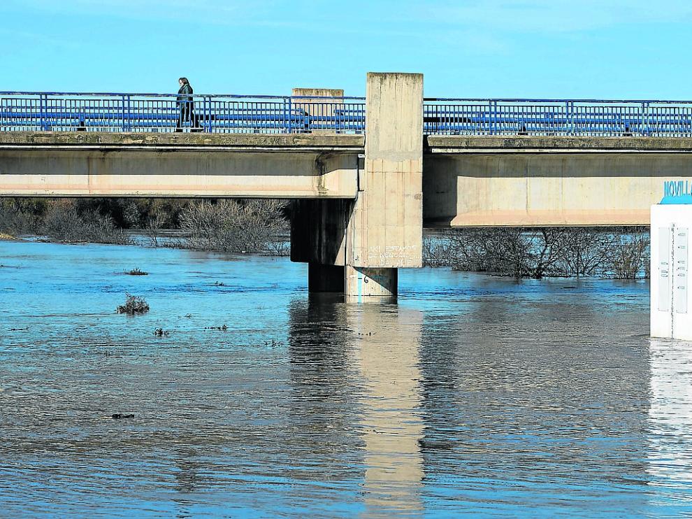 El Ebro superó los siete metros de altitud a su paso por la localidad de Novillas