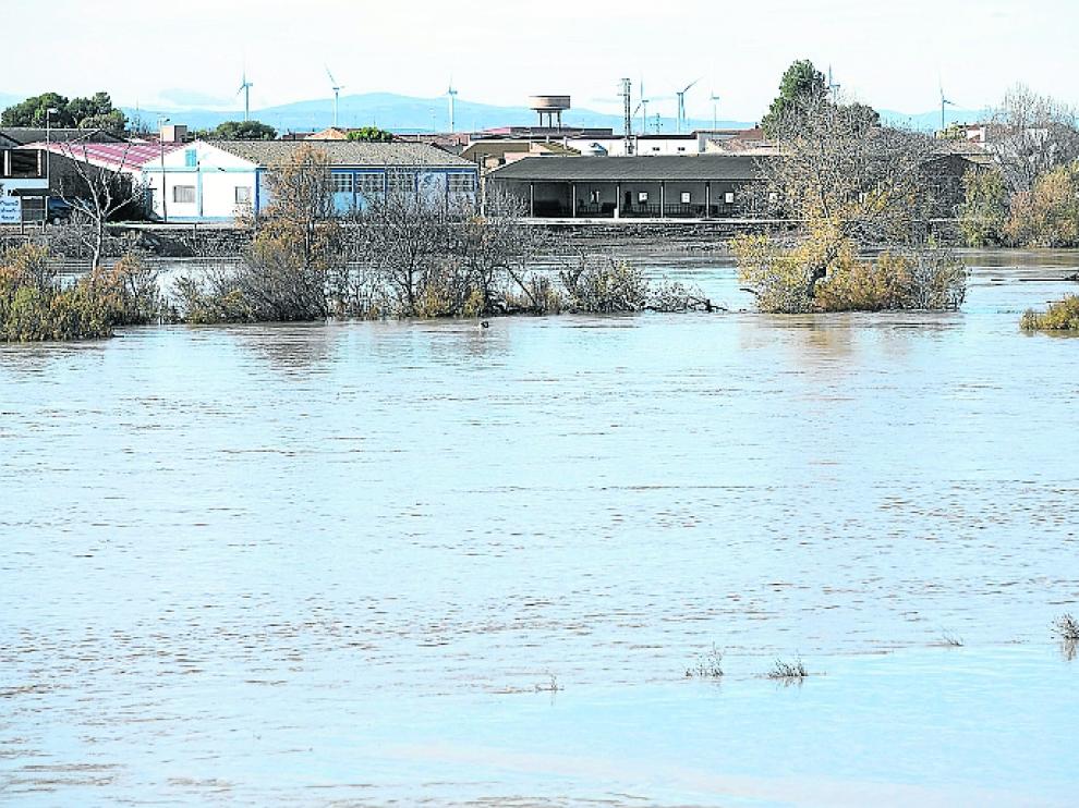 Primeras inundaciones en campos de Novillas