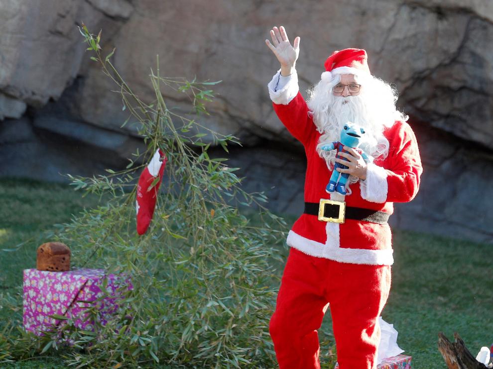Un Papá Noel saluda desde el recinto de los chimpancés del Bioparc de Valencia.