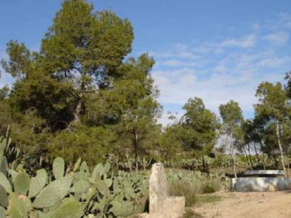 Aparece el cadáver calcinado de una mujer en un parque en Monteagudo (Murcia)