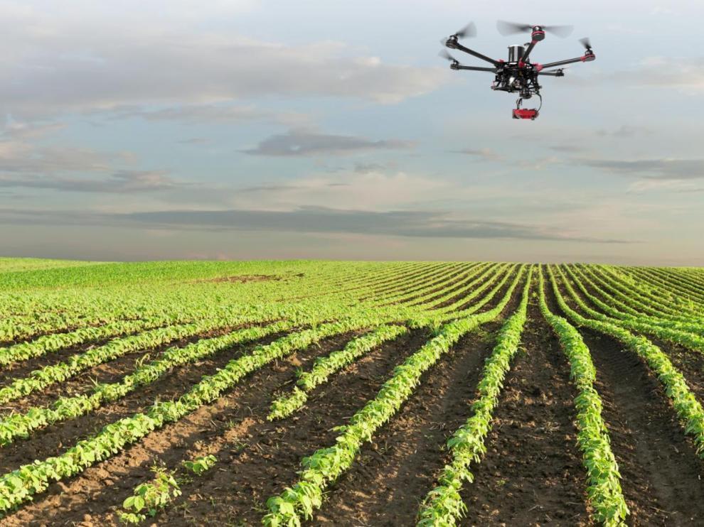Un dron sobrevuela un cultivo en plena inspección