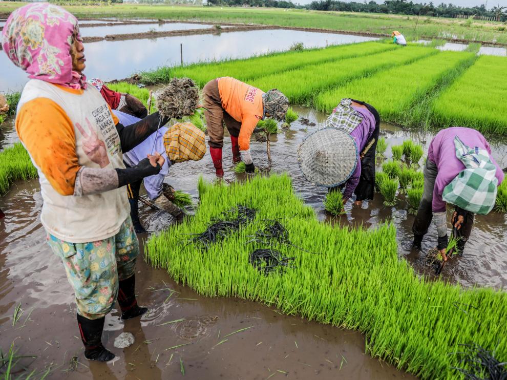 Una imagen de la región de Sumatra (Indonesia).