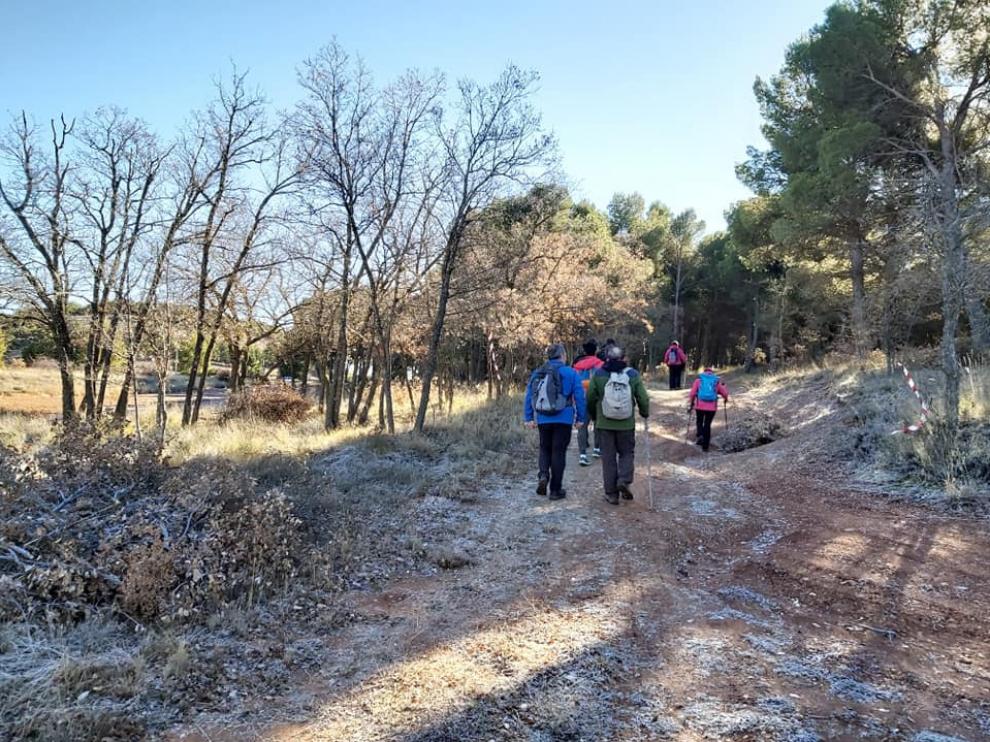 La tercera etapa de esta edición del programa ha sido en Daroca