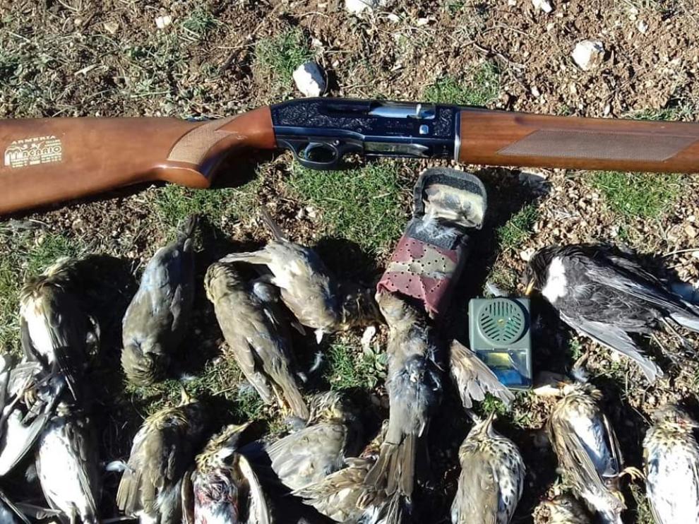 El reclamo electrónico que utilizaba el cazador junto al rifle y algunas de las aves abatidas