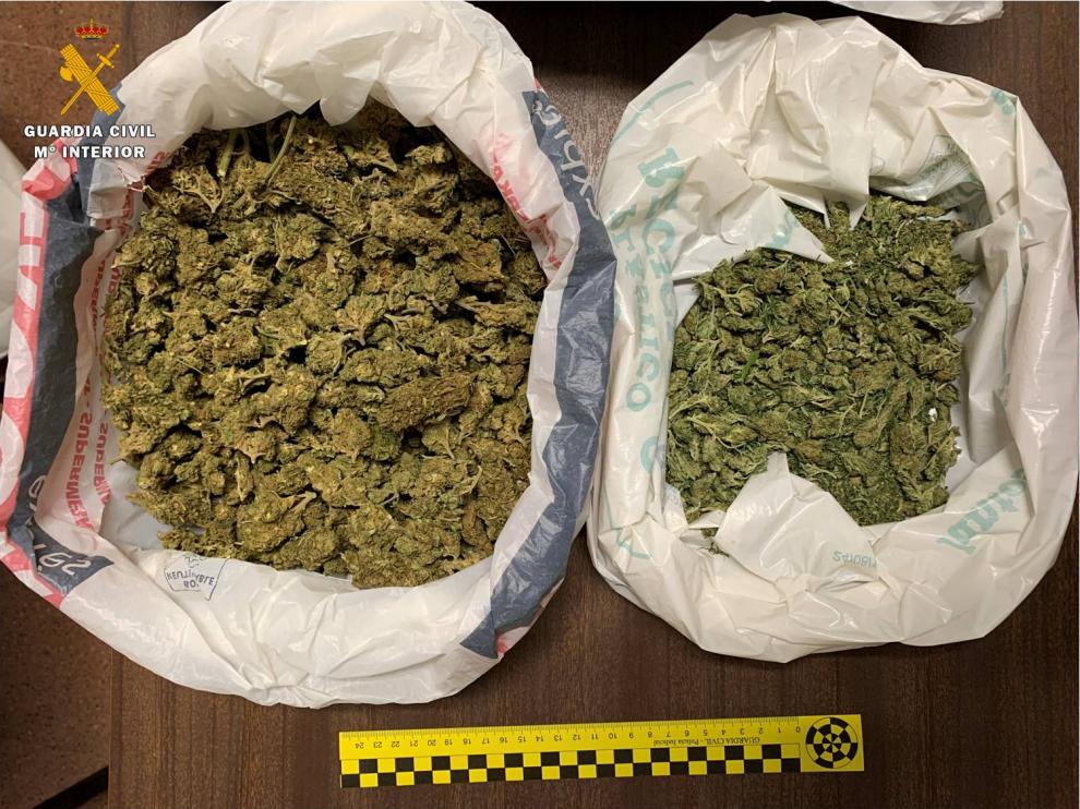 Cogollos de marihuana que portaba el menor detenido entre Cuarte y Cadrete