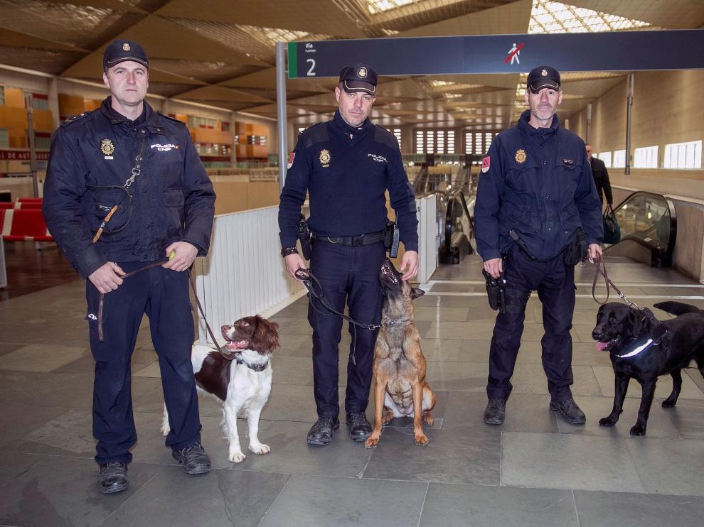 Agentes de la unidad canina y sus perros en la estación Delicias.