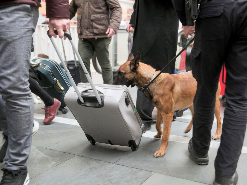 Unidad canina de la Policía Nacional.