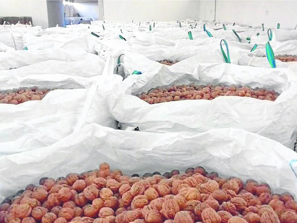 Nueces preparadas para su comercialización de Finca Valonga, una empresa agroalimentaria situada en Belver del Cinca.
