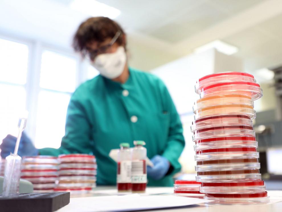 Milan (Italy), 30/01/2020.- A researcher at work in the laboratory of Clinical Microbiology, Virology and Emergency Diagnostics of the Luigi Sacco hospital in Milan, Italy, 30 January 2020. The Italian authorities are making medical research measures to deal with the possible emergency of the Coronavirus. (Italia) EFE/EPA/MATTEO BAZZI Researchers at work for possible emergency of the Coronavirus