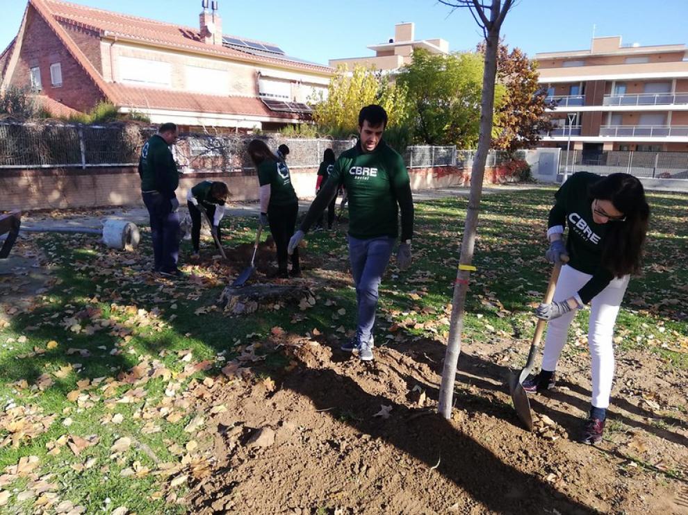 Repoblación en el parque de Britania, en noviembre.