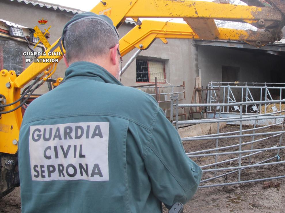 Actuación de la Guardia Civil en la finca ganadera