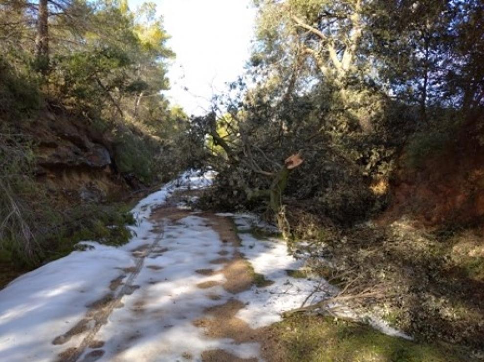 Los destrozos afectan a 30 kilómetros de la vía verde que atraviesa el Matarraña.