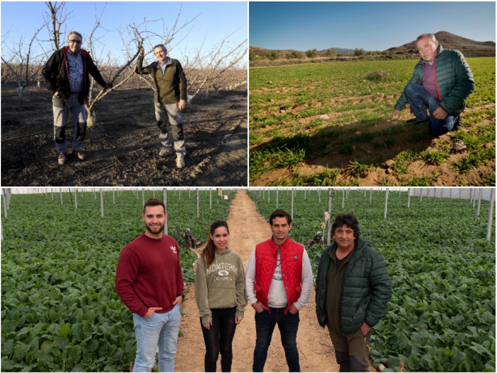 Agricultores de cereal, fruticultores y hortelanos explican sus gastos de producción en el campo.