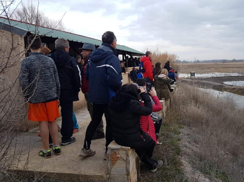 Un grupo de personas observan las grullas de la laguna del Cañizar.