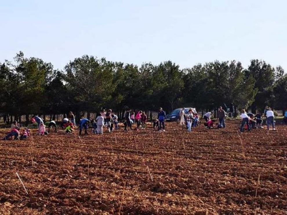 Empleados de Yudigar plantaron 600 árboles en el santuario de Lagunas.