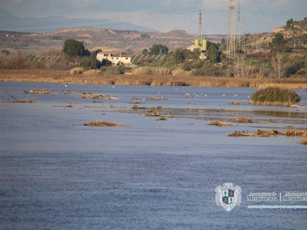 Los troncos se acumulan en el campo de regatas.