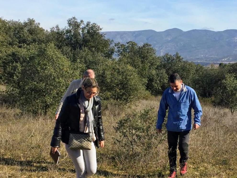 El entorno natural de Barbastro se repoblará con nuevos ejemplares arbóreos