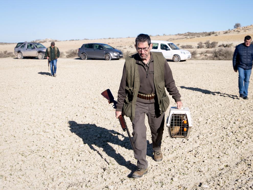 En Épila, el Ayuntamiento, los cazadores y los agricultores se han puesto de acuerdo para combatir la plaga de conejos.
