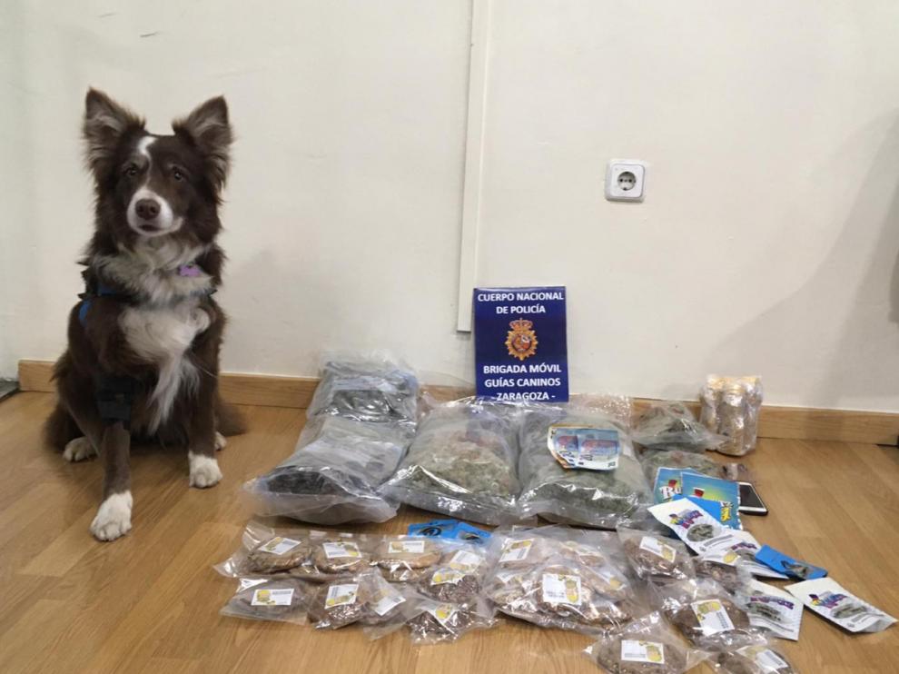 La patrulla canina antidrogas se incauta de varios kilos de marihuana