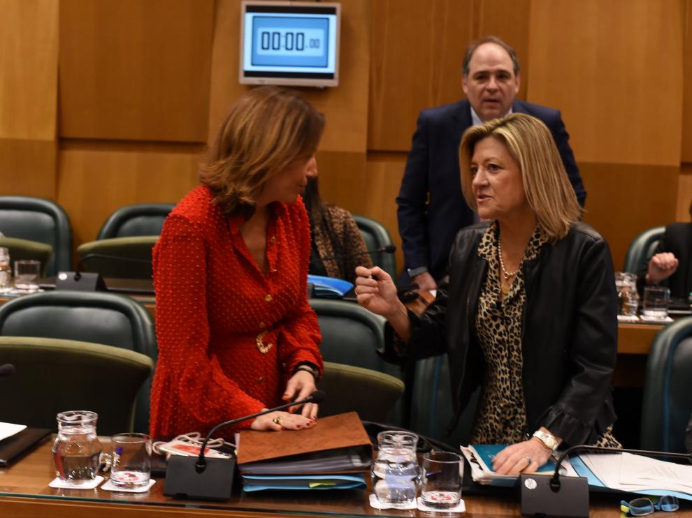 Natalia Chueca, concejal de Servicios Públicos, en el pleno municipal de este viernes