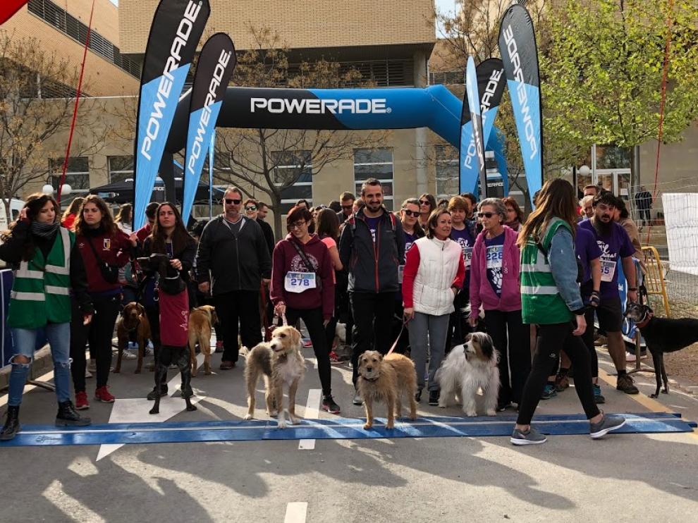 Foto de archivo de la cuarta Animal Runizar (2019).