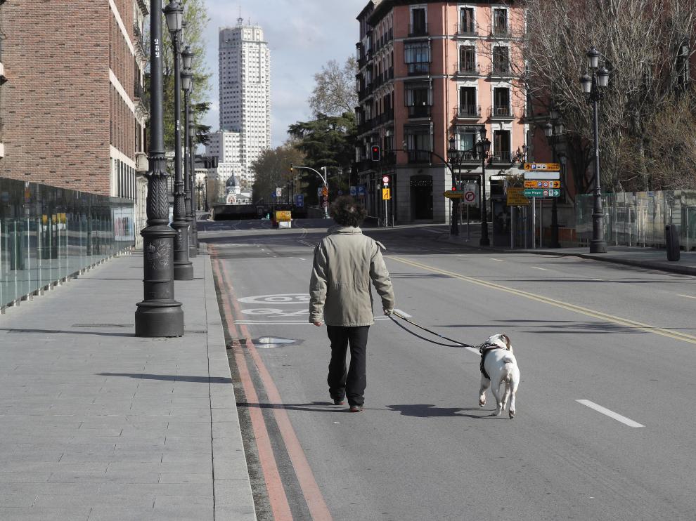 Un hombre pasea a su perro este domingo por una céntrica calle de Madrid.