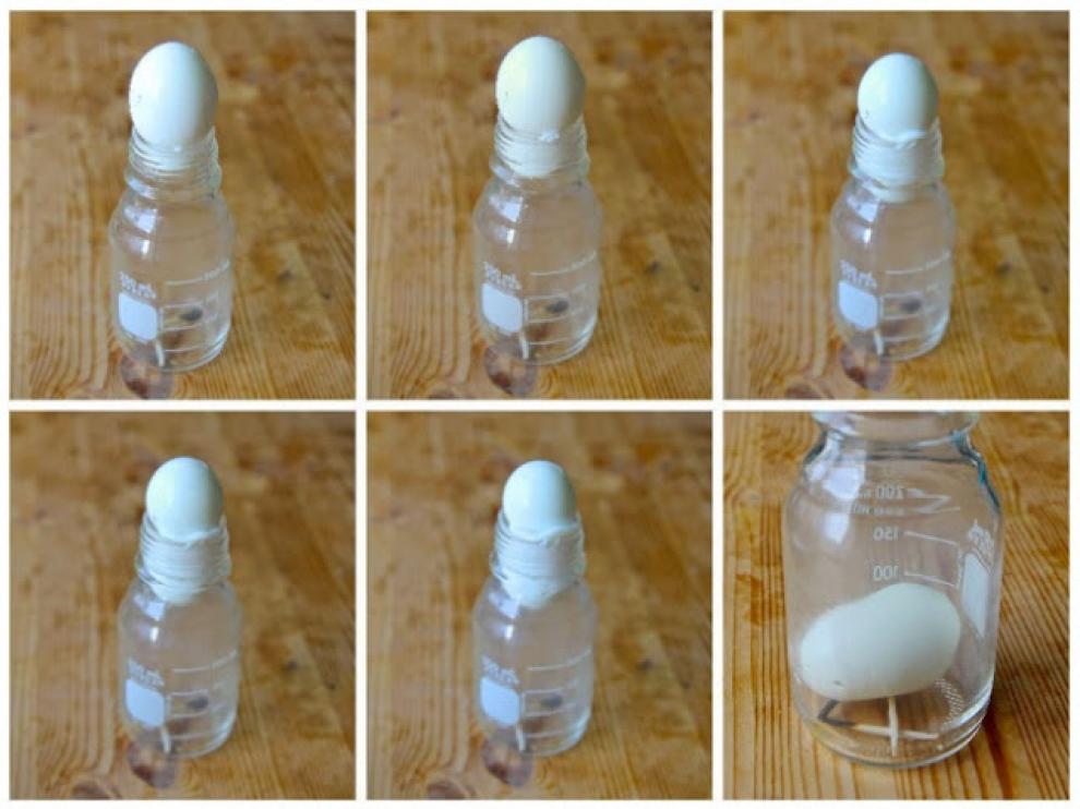 El experimento, paso a paso.