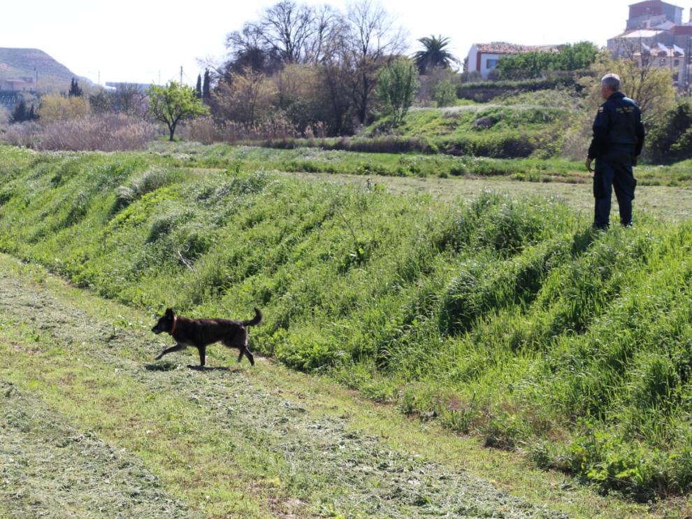 Continúa la búsqueda de una mujer de 61 años en Caspe.