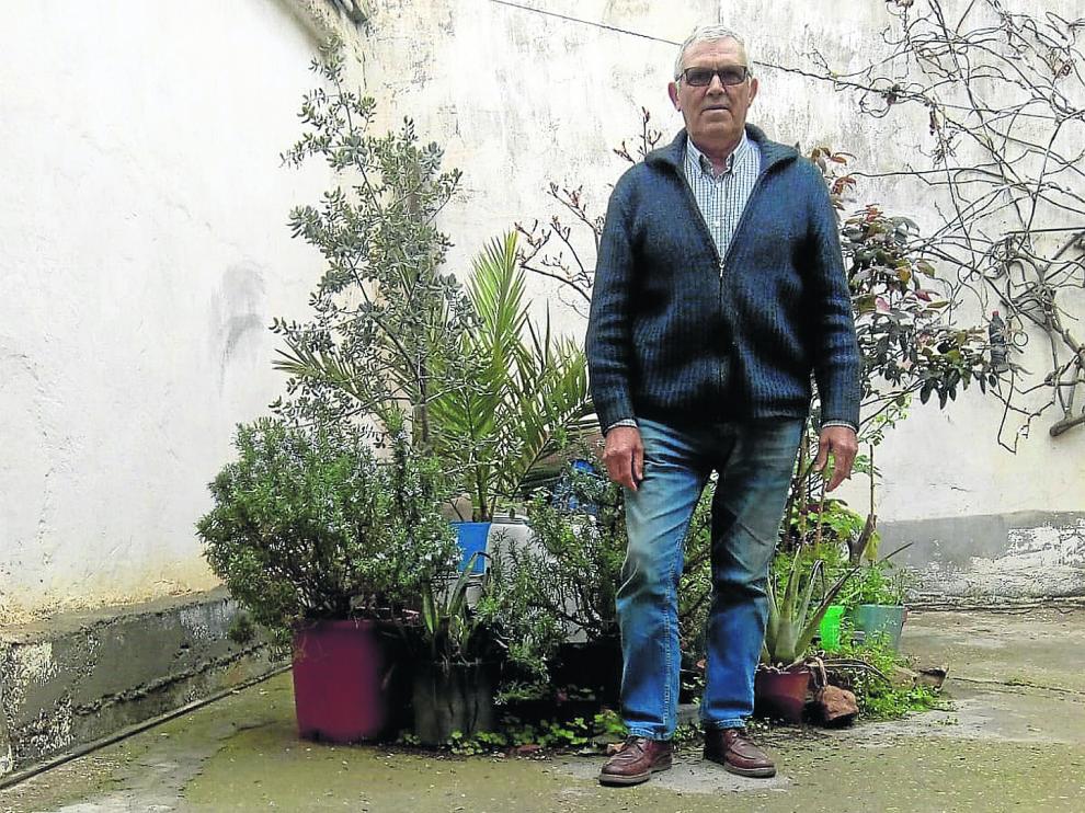 Ángel Rotellar siempre ha cultivado su propio huerto con semillas de gran calidad.