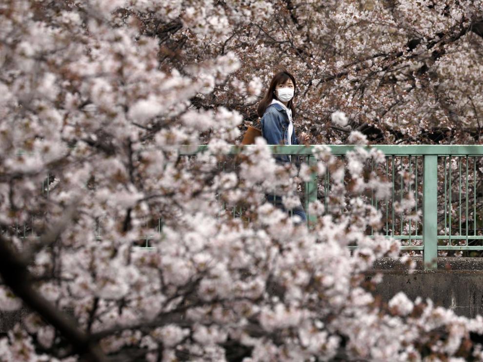 Primavera en Tokio