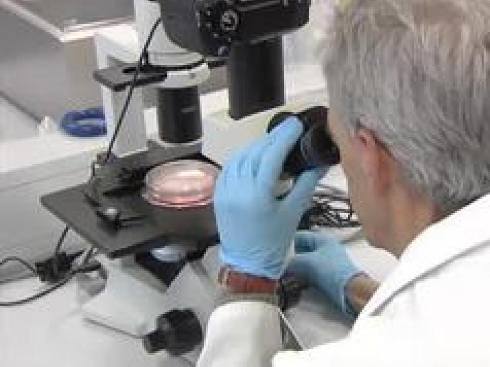 Más de 45 países ya se han sumado al ensayo "Solidaridad", el mayor estudio clínico contra el coronavirus impulsado por la OMS. Miles de pacientes, voluntarios, se someterán a cuatro terapias distintas para encontrar el tratamiento más eficaz. El Hospital Clínico San Carlos, de Madrid, se ha sumado a este programa.