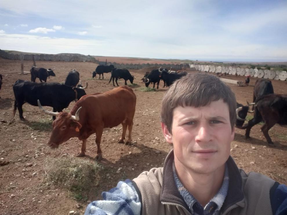 El joven ganadero Raúl Izquierdo con algunos de sus animales en su explotación de Codo.