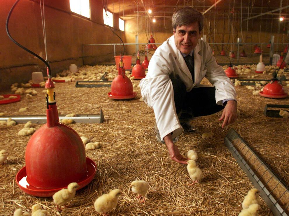 Juan José Badiola, rodeado de pollitos en la Facultad de Veterinaria, en una imagen de febrero de 2004