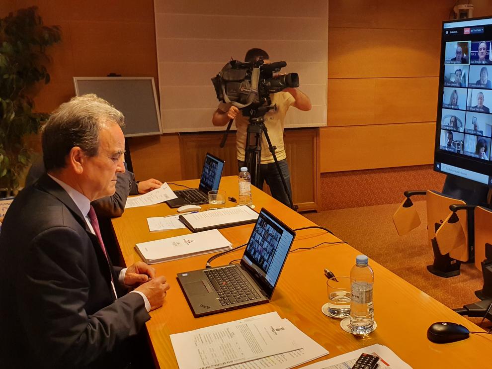Pleno telemático de la DPZ