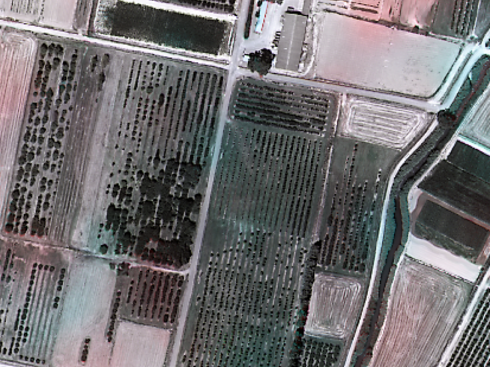 Campos de frutales.