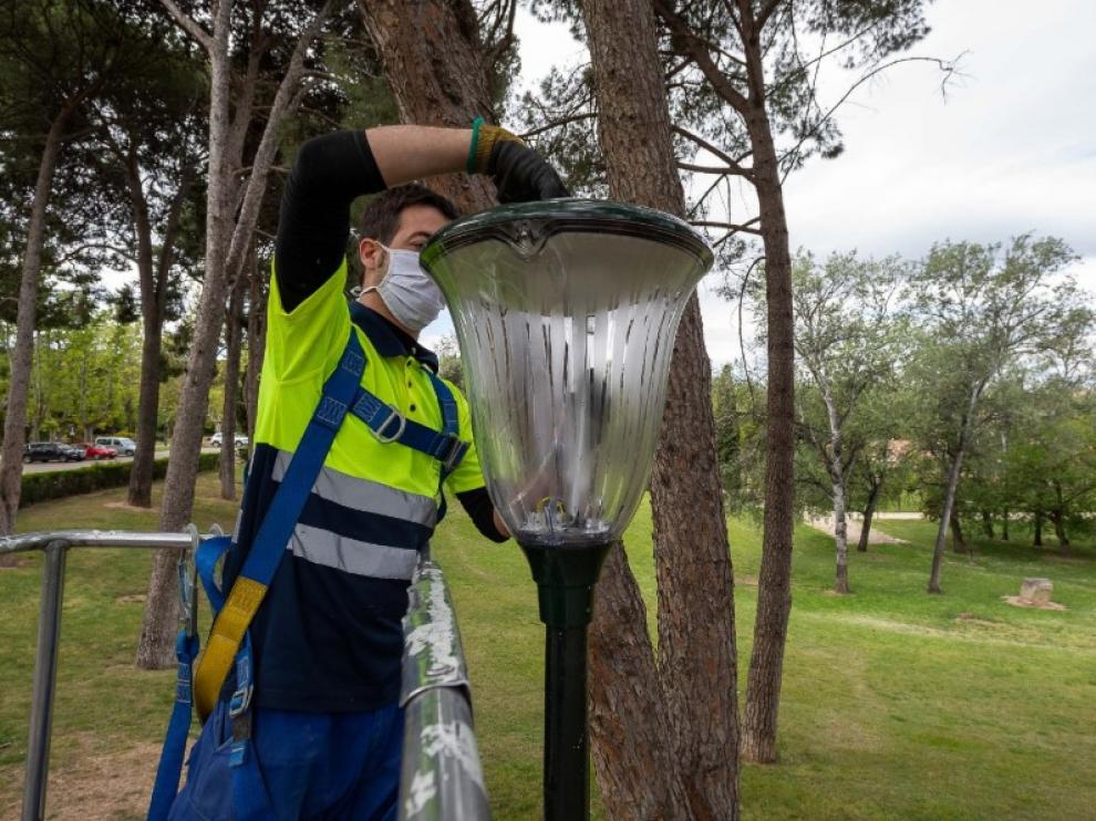 Los trabajos esta misma mañana en el parque Grande José Antonio Labordeta.
