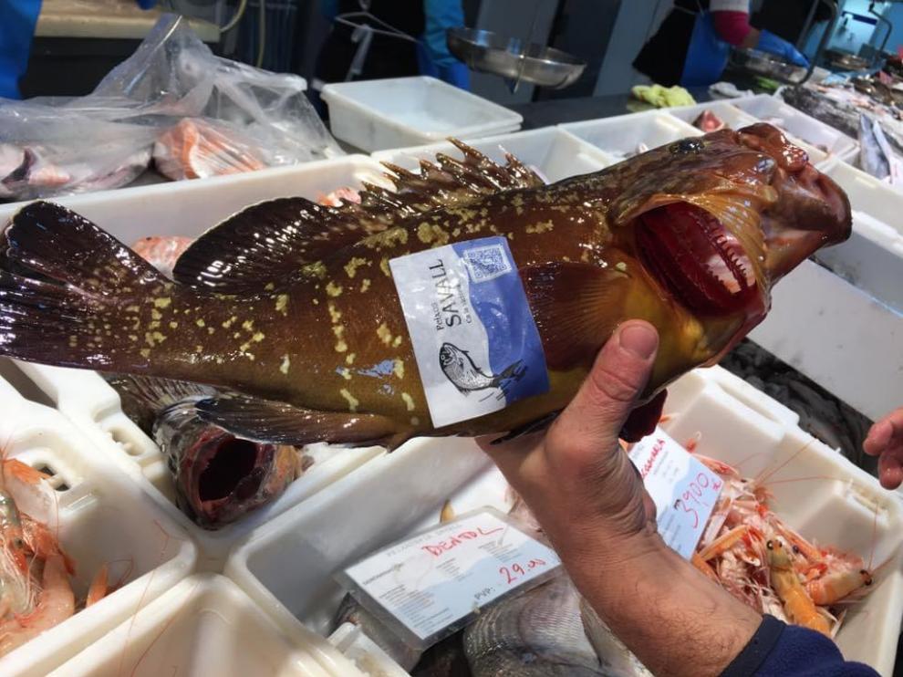 Pescados Savall ofrece envíos de pescado y marisco a Zaragoza desde Cambrils.