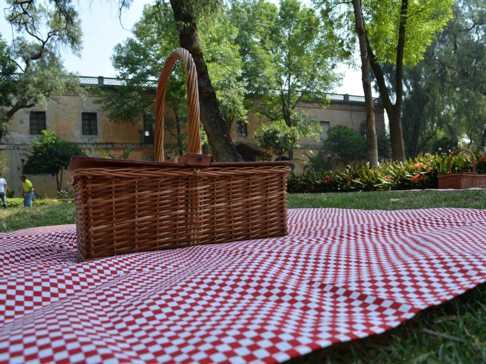 Dulces, embutido, tortilla de patata...¿qué tendrá tu picnic perfecto?